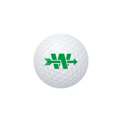 Golf Balls